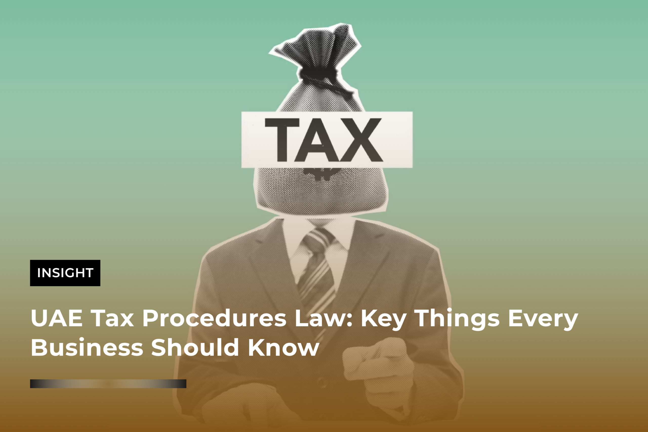 UAE Tax Procedures Law Key Things Every Business Should Know